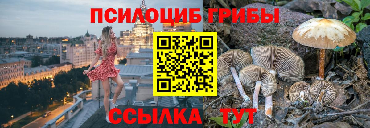 Верхний Уфалей  дарнет шоп  Вход с VPN  Галлюциногенные грибы MAGIC MUSHROOMS  Галлюциногенные грибы мухоморы 