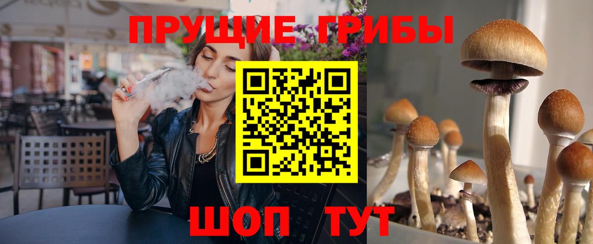 Галлюциногенные грибы MAGIC MUSHROOMS Верхний Уфалей